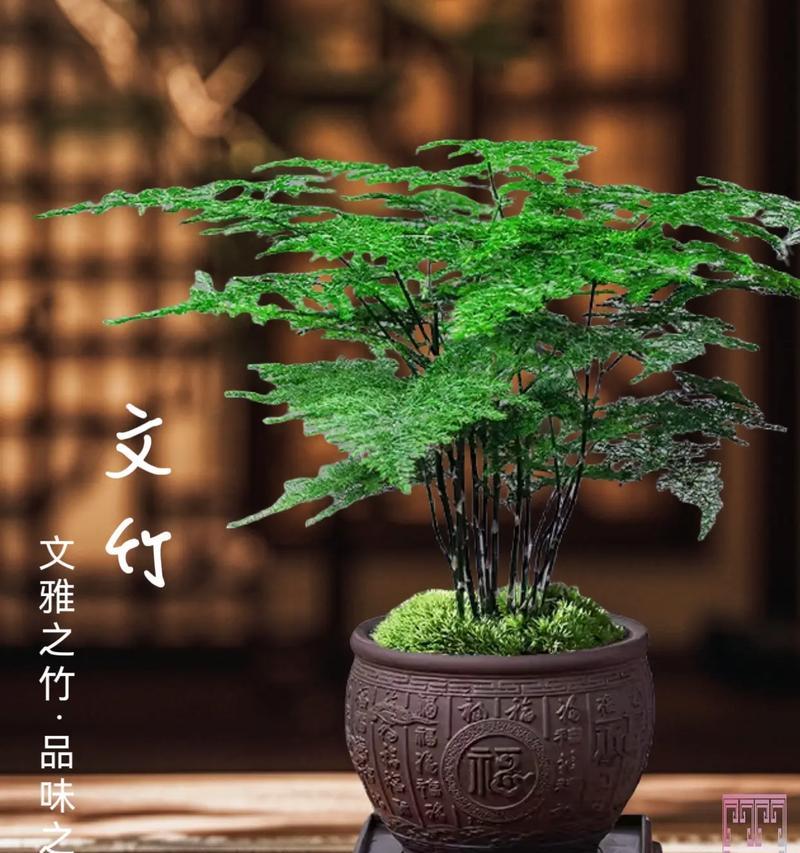 四季花卉有哪些？四季常青花卉的选择和养护要点是什么？