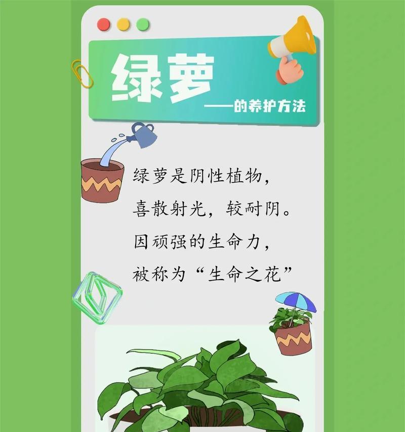 绿萝的养殖方法是什么？如何让绿萝长得更茂盛？