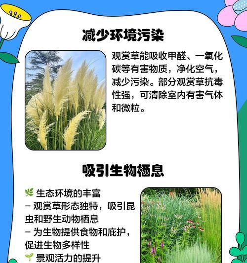 观赏草有哪些种类？如何选择适合的观赏草？