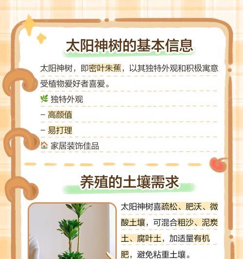 太阳神植物有哪些神奇的功效？