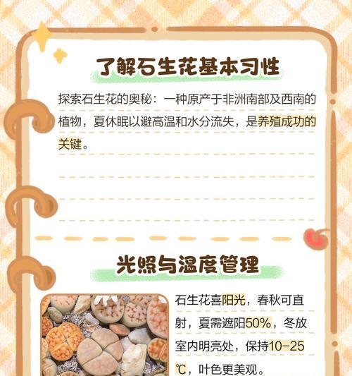 生石花夏季管理技巧？