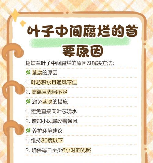 蝴蝶兰叶子腐烂的处理方法有哪些？