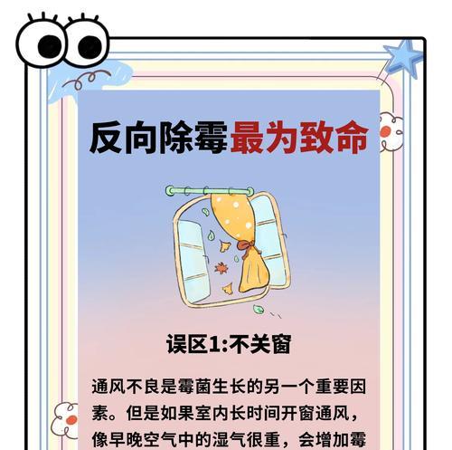 风信子发霉了怎么处理？预防措施有哪些？