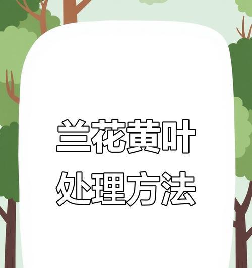 兰花叶子发黄如何处理？有哪些可能的原因？