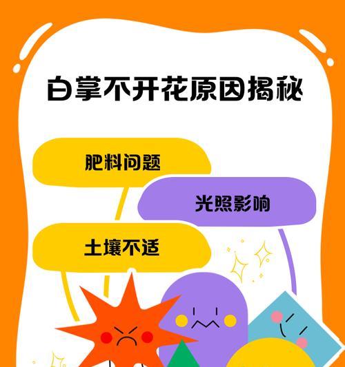 白掌开花的秘诀是什么？如何正确养护？