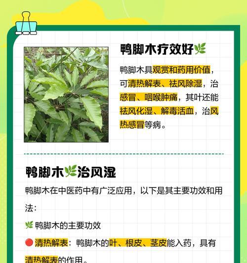 脚木怎么办？脚木养护的正确方法是什么？
