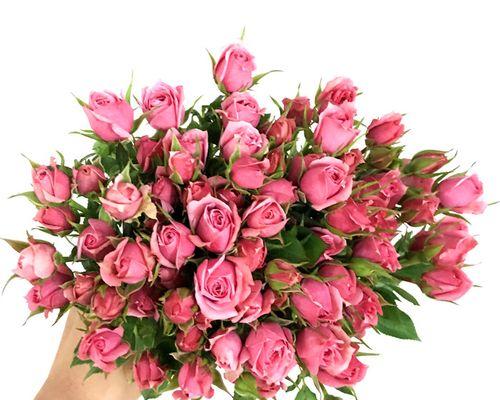 办公室适合摆放哪些鲜花？如何选择办公室鲜花？
