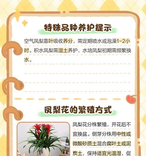 凤梨叶子卷曲的解决办法是什么？