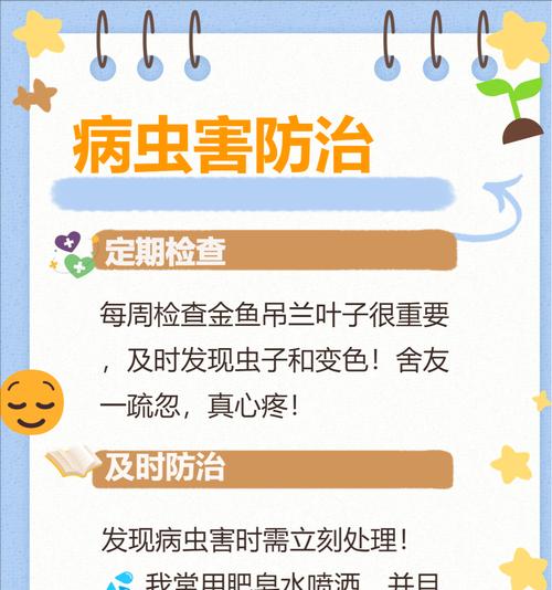 吊兰长虫了怎么办？有效驱虫方法有哪些？