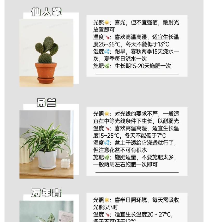吊兰长虫了怎么办？有效驱虫方法有哪些？