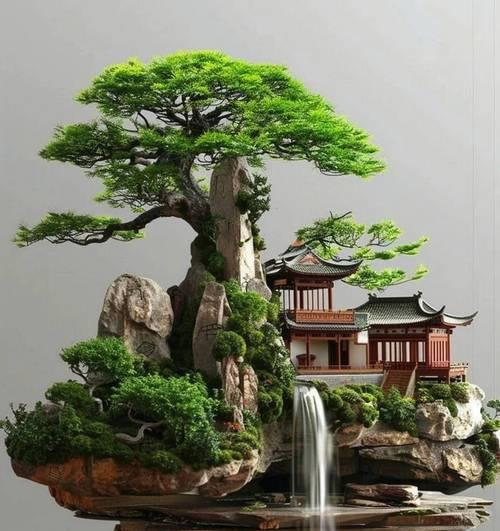微景观植物有哪些？如何打造一个微景观？