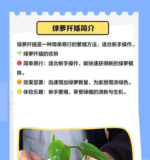 绿萝的栽种方法是什么？如何栽种绿萝才能长得茂盛？