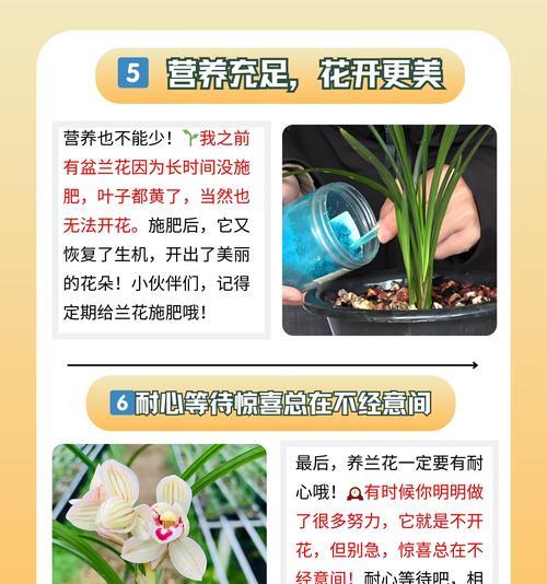 兰花品种有哪些？如何区分不同兰花？