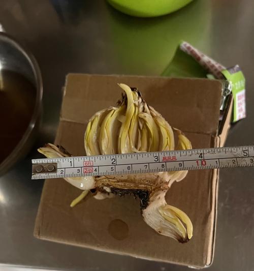 水仙雕刻的目的是什么？雕刻水仙有哪些技巧？
