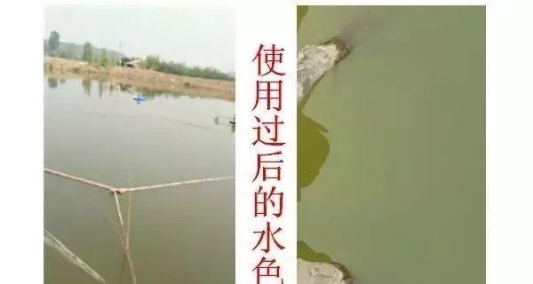 浇花时使用什么类型的水最合适？不同水质对植物的影响如何？