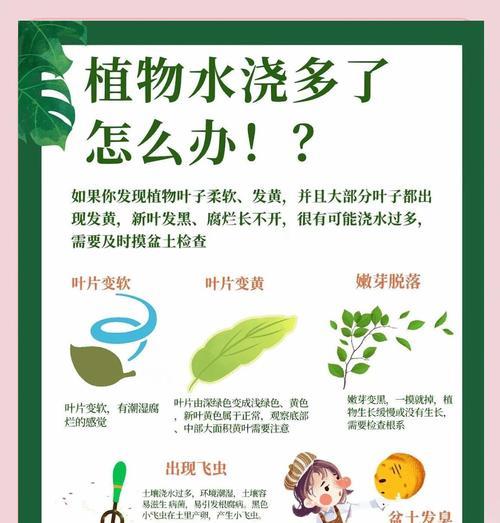 浇花时使用什么类型的水最合适？不同水质对植物的影响如何？