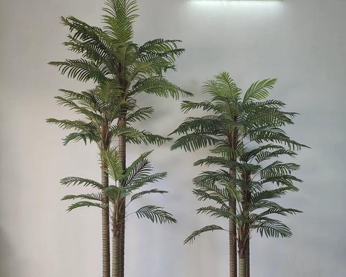 椰子树盆栽种植的正确方式是什么？有哪些注意事项？