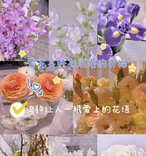 万年草修剪技巧是什么？修剪后如何护理？