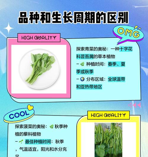 青菜品种大全有哪些？如何选择最健康的青菜品种？