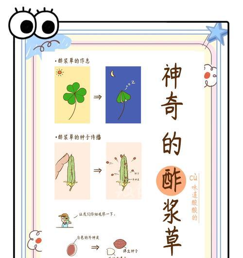 酢浆草繁殖方法有哪些？