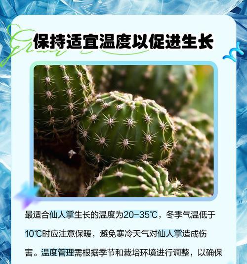 仙人掌冬季养护需要注意哪些事项？