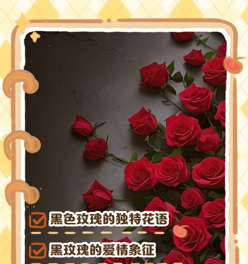 玫瑰花有哪些独特特征？它们的花语是什么？