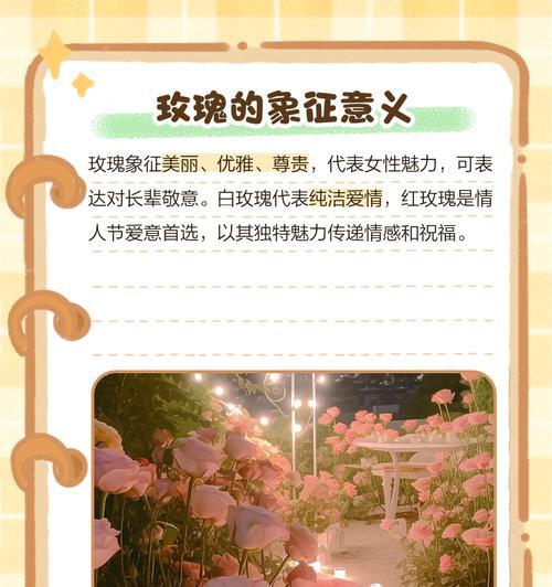 玫瑰花有哪些独特特征？它们的花语是什么？