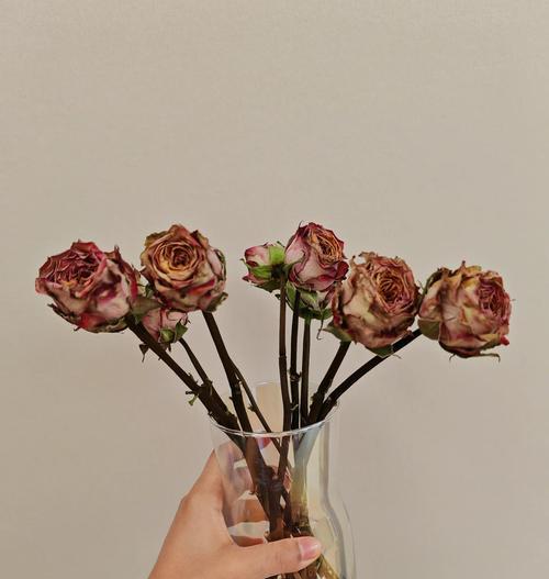 风干花的制作流程是什么？