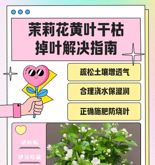 茉莉花种植技巧有哪些？如何种植茉莉花？