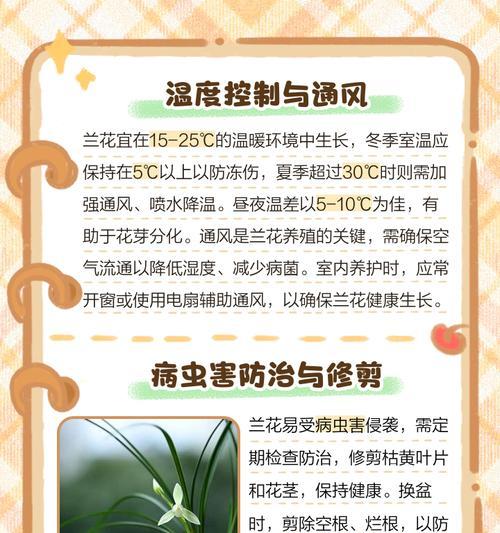 兰花的养殖方法和注意事项是什么？