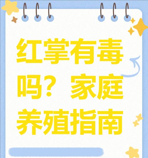 红掌养殖的正确方式和常见问题？
