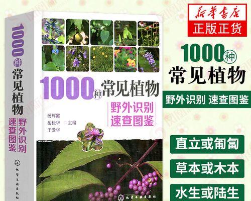 植物品种有哪些名称？如何识别常见植物品种？