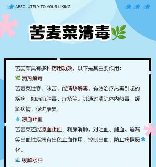 苦麦菜怎么种催芽最好