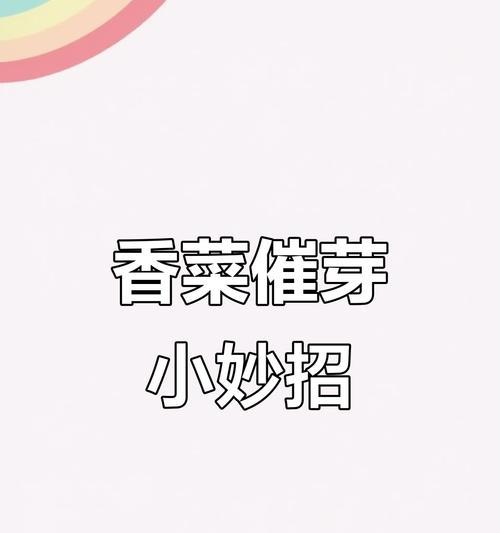催芽了怎么种菜：全面指导与技巧分享