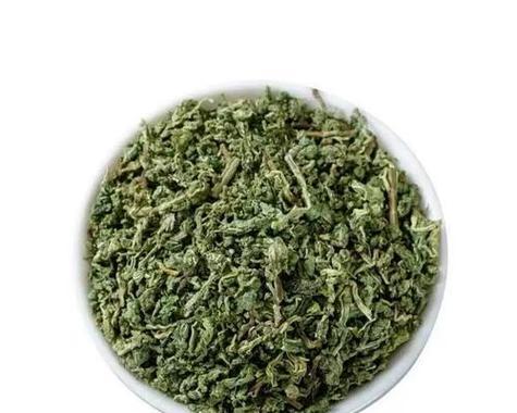 薄荷干了怎么修剪枝条：全面养护指南
