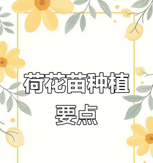 冰培荷花种植方法详解