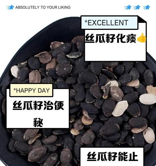 丝瓜种子要催芽吗怎么种？新手种植丝瓜的完全指南