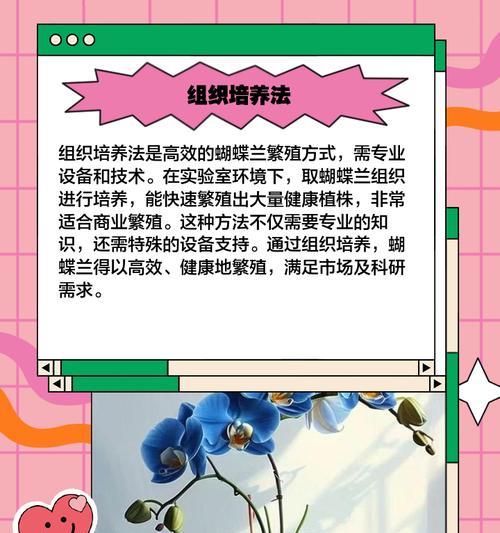 蝴蝶兰的催芽在家怎么能种出来