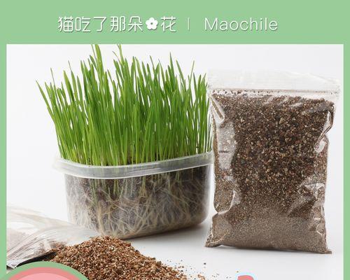 【标题】土培盆栽的种植方法指南：从选土到养护一网打尽