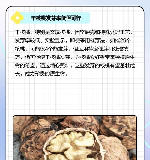 核桃不玩了怎么催芽