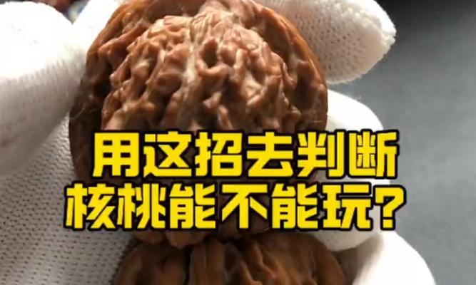 核桃不玩了怎么催芽