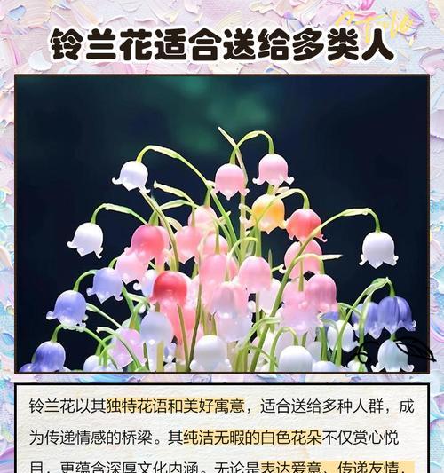 马蹄莲烂根怎么处理？烂根的处理方法和预防措施
