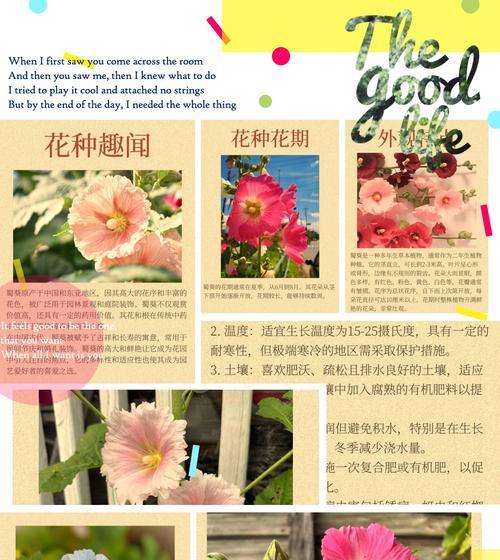 马蹄莲烂根怎么处理？烂根的处理方法和预防措施