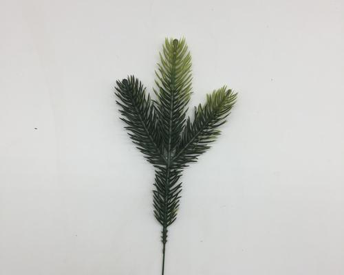 松针树修剪枝条的正确方法及注意事项