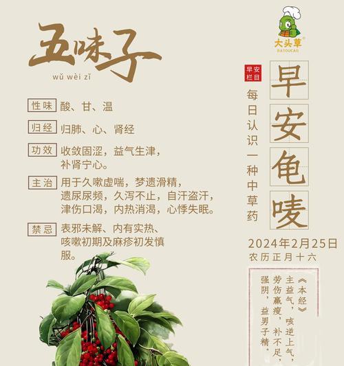 五味子怎么种植——全面种植方法指南