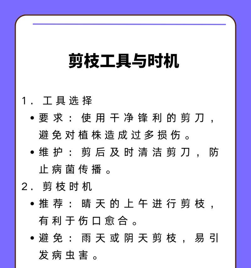 西瓜修剪枝怎么修剪好看