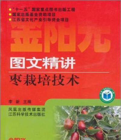苹果枣种子怎么催芽