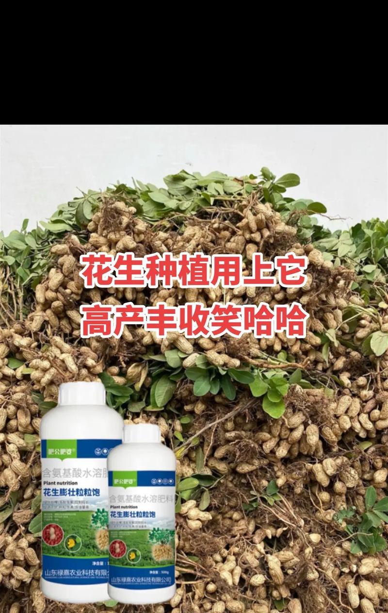 花生催芽播种技术详解：如何有效催芽