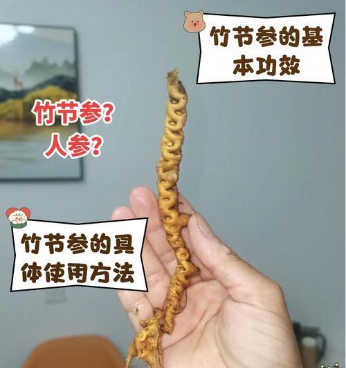 竹节参苗怎么种植方法