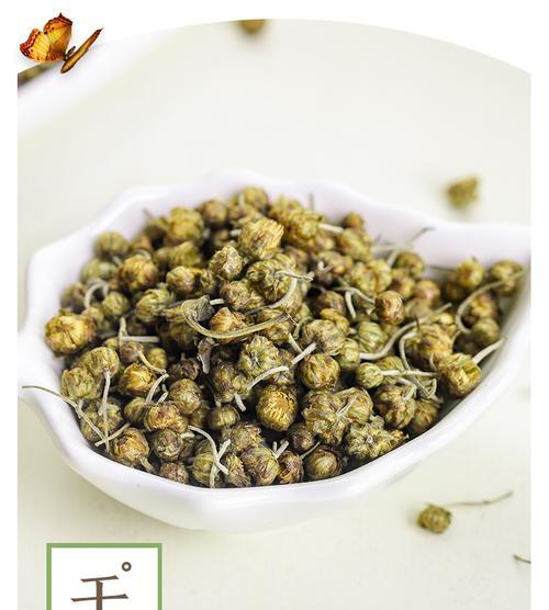 珍珠菊花怎么修剪枝条